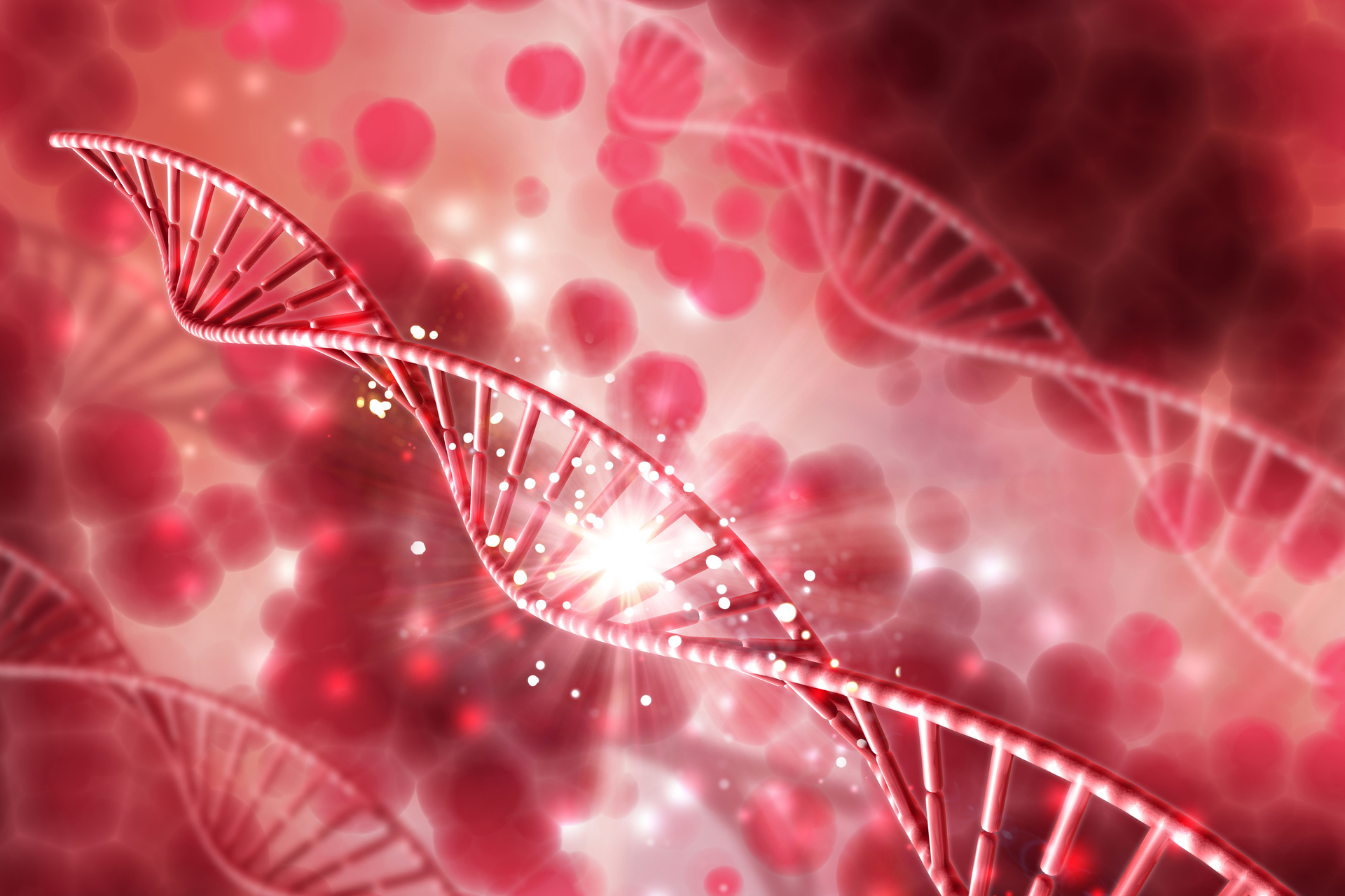 Hormone Assays