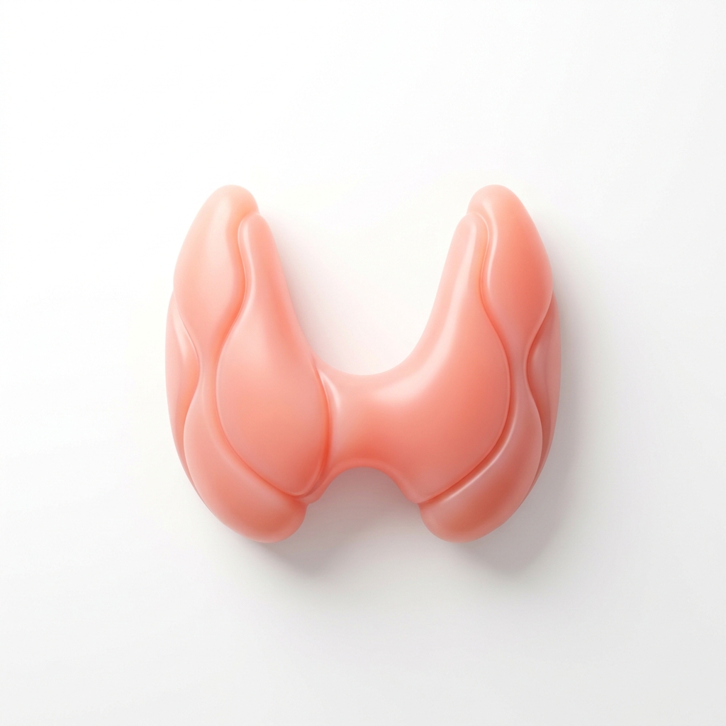 Thyroid Function Test